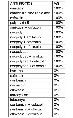 Klebsiella oxytoca